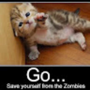 Meet your Posher, Judy